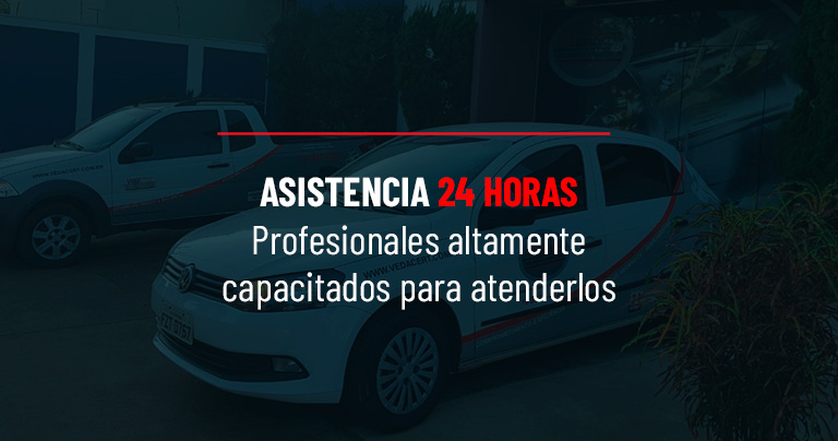 Assistência