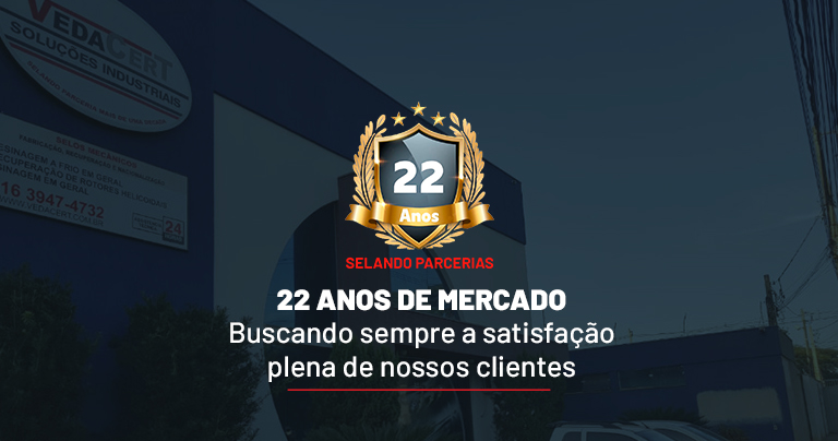 20 anos